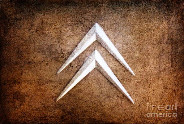 Citroen Emblem by Sannel Larson Citroen Emblem by Sannel Larson