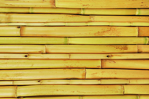 Wall Art - Photograph - Close Up Of The Bamboo Texture Background by Severija Kirilovaite