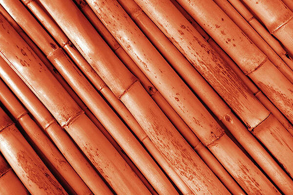 Wall Art - Photograph - Close Up Of The Red  Bamboo Texture Background by Severija Kirilovaite