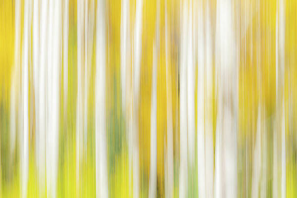 Wall Art - Photograph - CO Abstract 0827 by David Downs