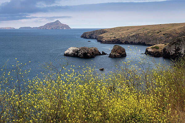 Wall Art - Photograph - Coast of the Channel Islands by Craig A Walker