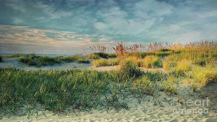 Wall Art - Photograph - Coastal Dreams by Terry Rowe