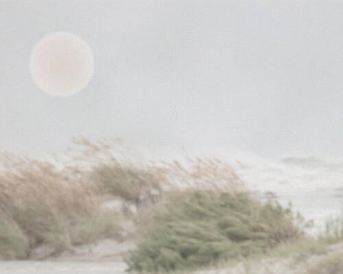 Wall Art - Mixed Media - Coastal Reeds Minimalist Beach in Soft Fog and Sunlight by Bob Pardue