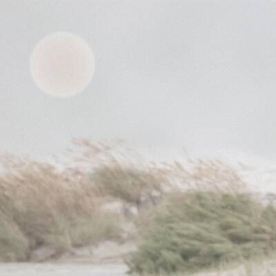 Wall Art - Mixed Media - Coastal Reeds Minimalist Beach in Soft Fog and Sunlight Square by Bob Pardue