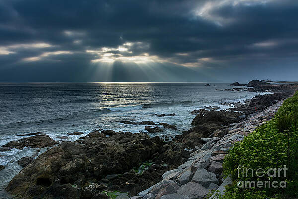 Coastline in Leca da Palmeira by Vicente Sargues Coastline in Leca da Palmeira by Vicente Sargues