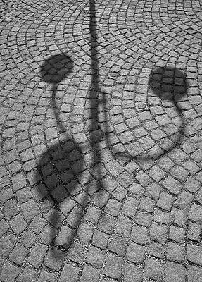 Wall Art featuring the photograph Cobbles And Globes by Steven Nelson