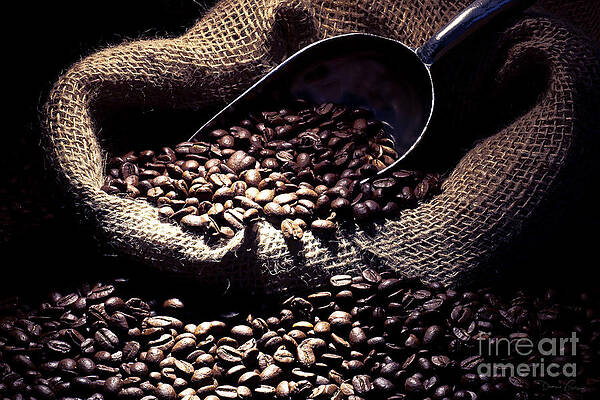 Coffee beans in burlap bag by Peppervine Art and Graphics Coffee beans in burlap bag by Peppervine Art and Graphics