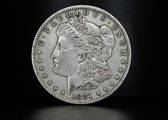 Coin Collecting - 1881 Morgan Dollar Face Side by Amelia Pearn Coin Collecting - 1881 Morgan Dollar Face Side by Amelia Pearn