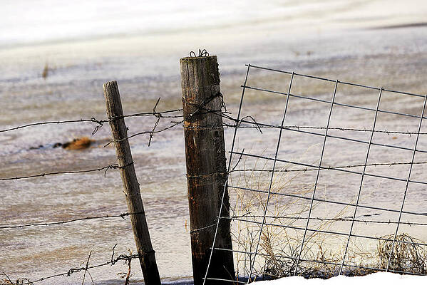 Cold Old Fencing by Kae Cheatham Cold Old Fencing by Kae Cheatham