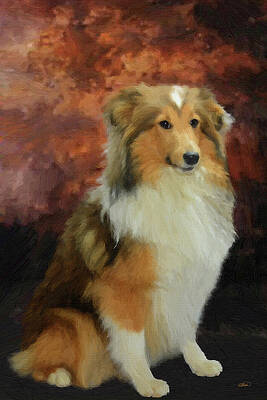 Collie Paintings (Page #11 of 24) | Fine Art America