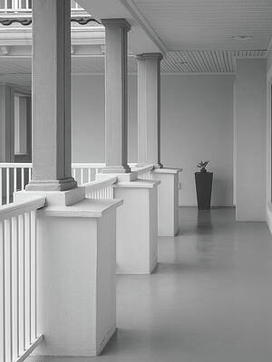 Wall Art - Photograph - Colonnade in Black and White by Mary Lee Dereske