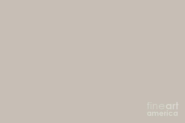 Colonnade Light Grey Solid Color by Simply Solids Colonnade Light Grey Solid Color by Simply Solids