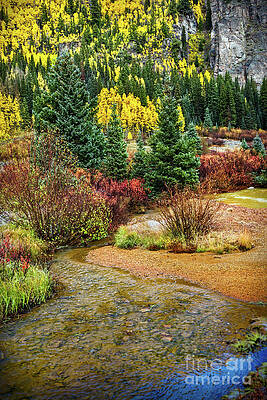 Colorado Stream by Susan Warren Colorado Stream by Susan Warren