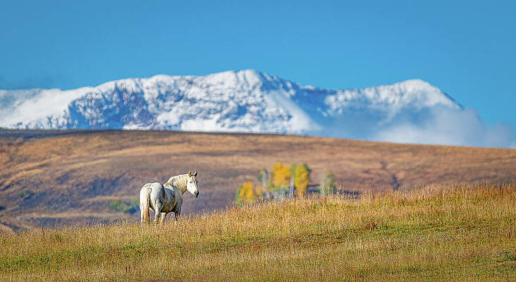 Wall Art - Photograph - Colorado Vision by David Downs