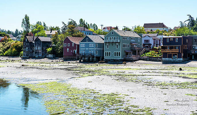 Serene Wall Art featuring the photograph Colorful Coupeville At Low Tide by Tom Cochran