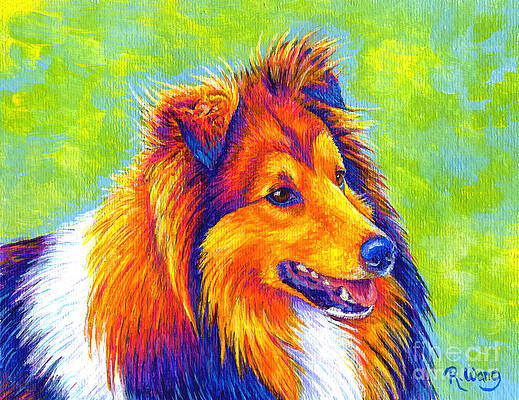 Wall Art - Painting - Colorful Shetland Sheepdog by Rebecca Wang