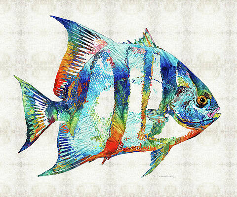 Wall Art - Painting - Colorful Spadefish Fish Art by Sharon Cummings