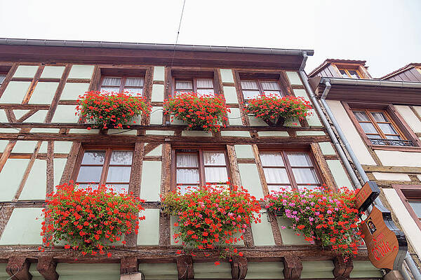 Wall Art - Photograph - Colorful Window Boxes by Cindy Robinson