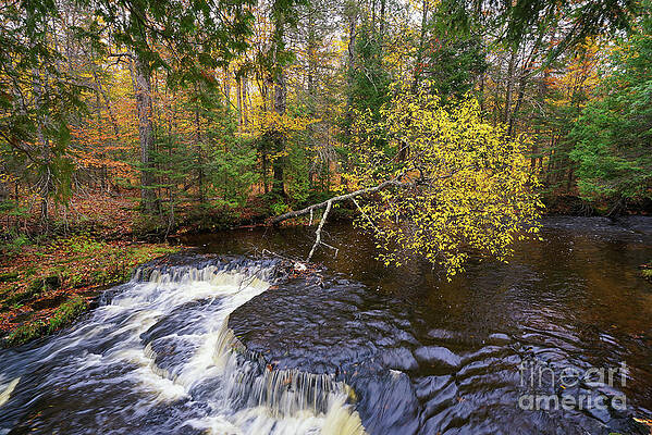 Colors and Flow by Rachel Cohen Colors and Flow by Rachel Cohen