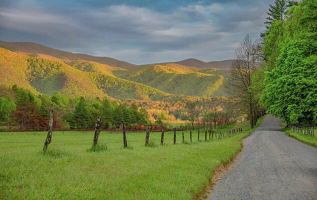 Colors of a Cades Cove Spring by Marcy Wielfaert Colors of a Cades Cove Spring by Marcy Wielfaert