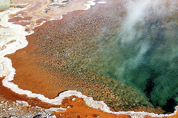Spring Wall Art featuring the photograph Colour My World 1 by Nicholas Blackwell