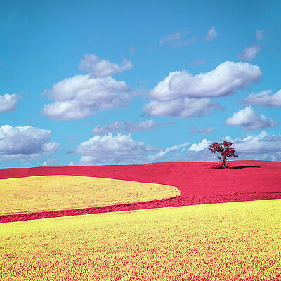 Colours by Ari Rex Colours by Ari Rex