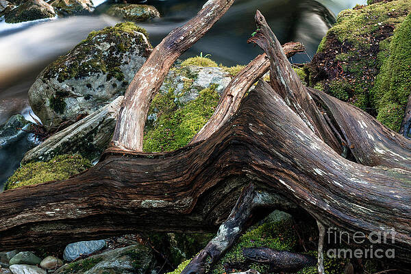 Colours of Nature by Elaine Teague Colours of Nature by Elaine Teague