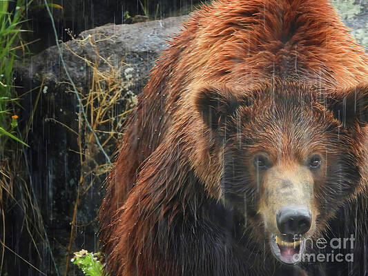 Come Closer My Friend by Scott Cameron Come Closer My Friend by Scott Cameron