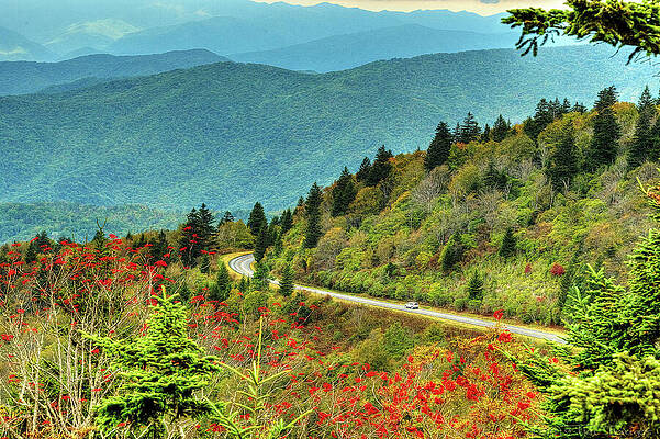 Coming around the Mountain by Trusalda Speight Coming around the Mountain by Trusalda Speight