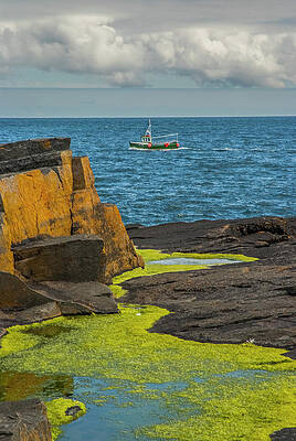 Coming into Port at Wick by Matthew Irvin Coming into Port at Wick by Matthew Irvin