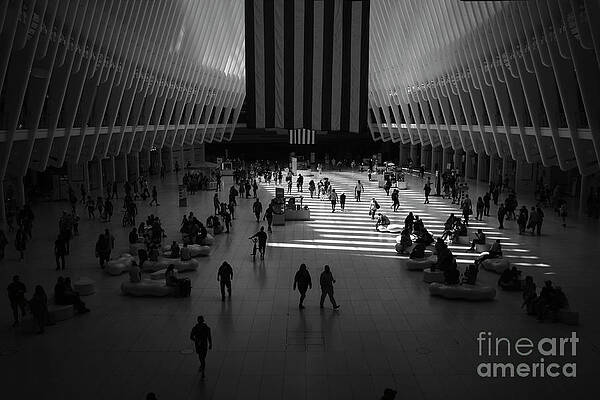Wall Art - Photograph - Commute in Silhouette  by Paul Watkins