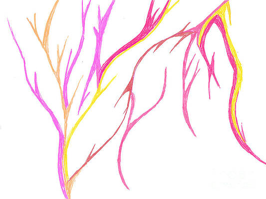 Cords by Mary Mikawoz Cords by Mary Mikawoz