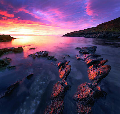 Cornwall Purple Fire by Monamifoto