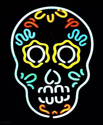 CORONA SKULL by Rob Hans CORONA SKULL by Rob Hans