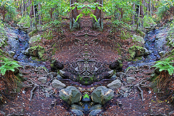 Corte Madera Creek Mirror #2 by Ben Upham III Corte Madera Creek Mirror #2 by Ben Upham III