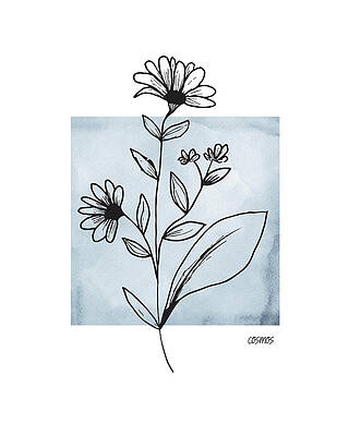 Cosmos Flower Drawings (Page #2 of 2) - Pixels