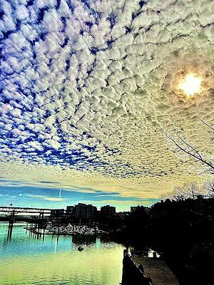 Cotton Sky by Michael Oceanofwisdom Bidwell Cotton Sky by Michael Oceanofwisdom Bidwell