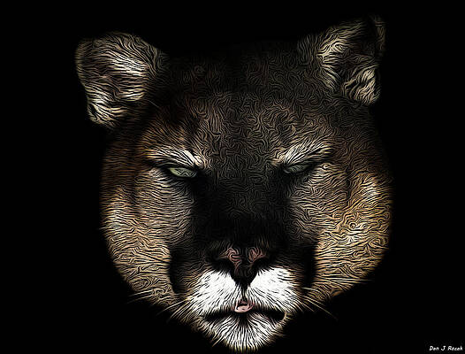 Cougar 1 by Dan J Rozak