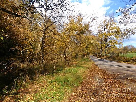 Country Road by David Neace Country Road by David Neace