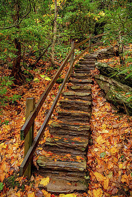 Fall Photograph - Crabtree Falls Trail by Cindy Robinson