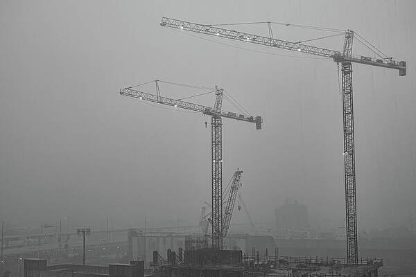 Cranes in the Rain by Robert Wilder Jr Cranes in the Rain by Robert Wilder Jr