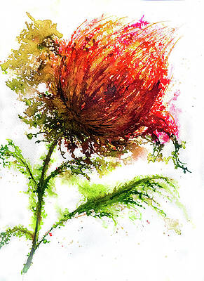 Colourful watercolour flower painting Wall art prints Home decor Original by nancymdraws Nancymdraws Print A5 A4 A3 A2