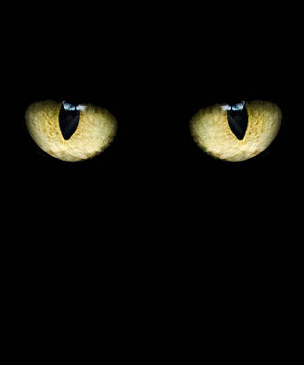 Wall Art - Digital Art - Creepy Cat Eyes by Flippin Sweet Gear