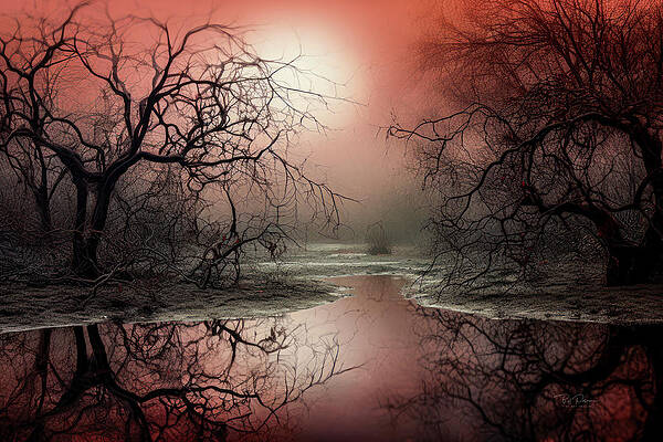 Wall Art - Digital Art - Crimson Twilight by Bill Posner