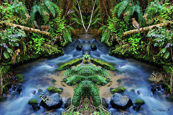 Critters at the Creek #1 by Ben Upham III Critters at the Creek #1 by Ben Upham III