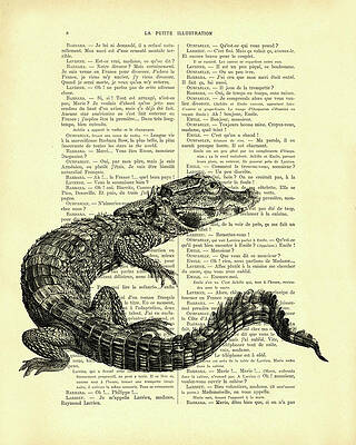 Wall Art - Mixed Media - Crocodile in black and white by Madame Memento