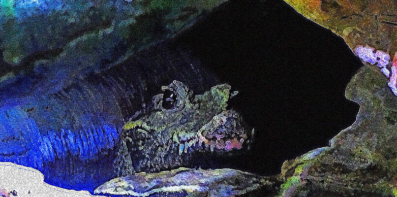 Crocodile by Island Hoppers Art Crocodile by Island Hoppers Art