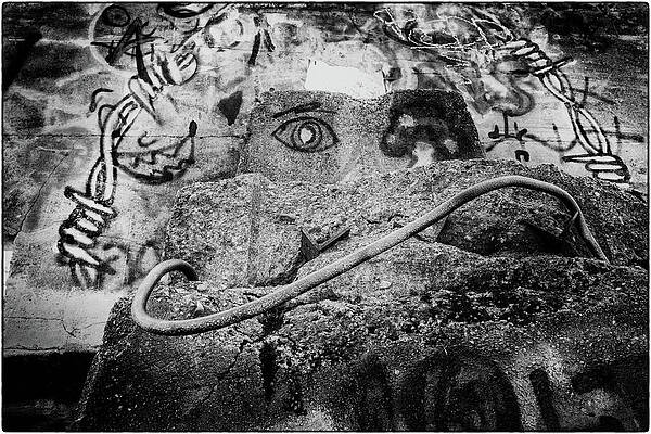 Wall Art - Photograph - Crooked Smile by Scott Norris