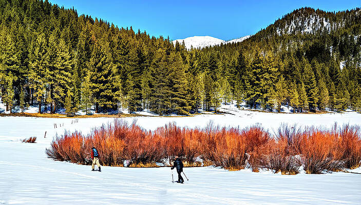Cross Country Skiers by Maria Coulson Cross Country Skiers by Maria Coulson