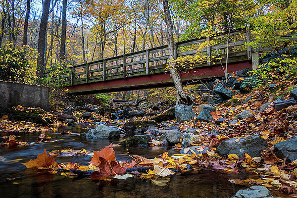 Crossing at Dunfield Creek by David Hahn